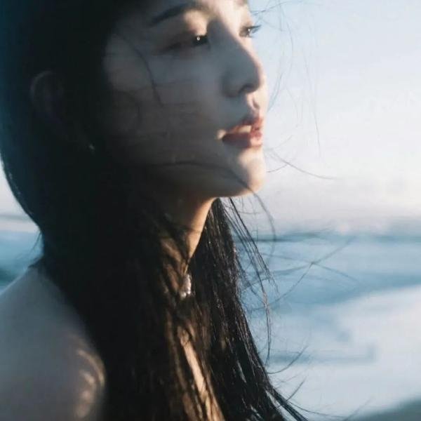 兰闺飞凤 封面
